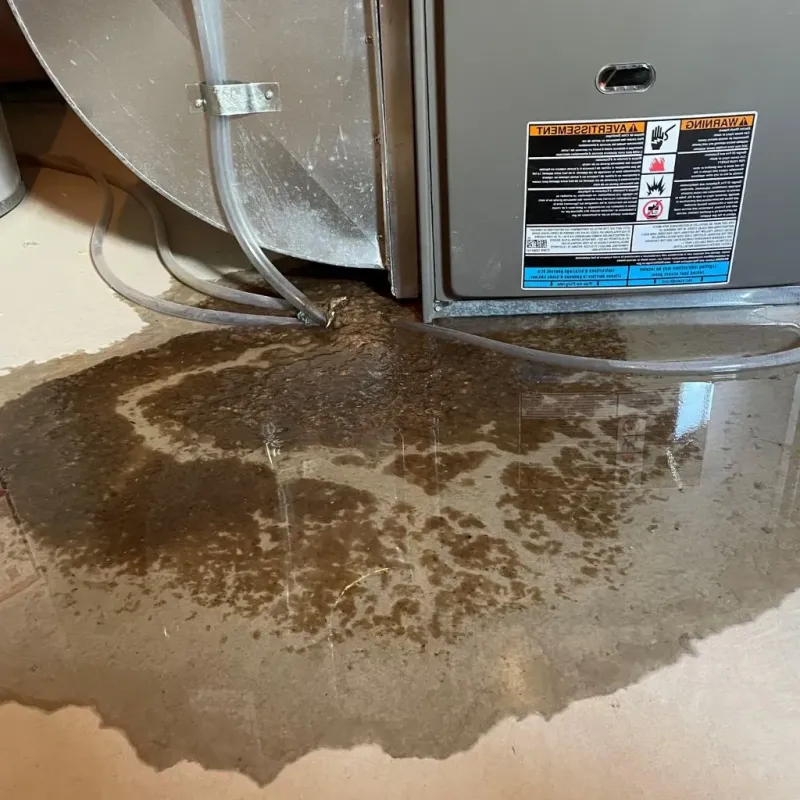 Pipe Burst and Leak Restoration in Hughes County, OK